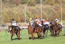 Race 6 - Wrenthorpe (3)