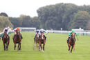 Race 6 - Zebelle (2)