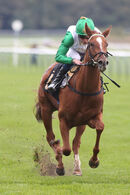 Race 6 - Zebelle (7)