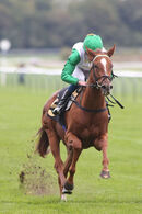 Race 6 - Zebelle (8)