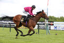 Race 6 - Ziggy (13)