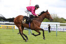 Race 6 - Ziggy (14)