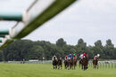 Race 6 - Ziggy (2)