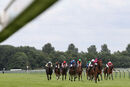 Race 6 - Ziggy (3)