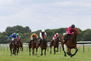 Race 6 - Ziggy (6)