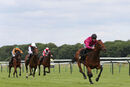 Race 6 - Ziggy (7)