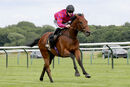 Race 6 - Ziggy (8)