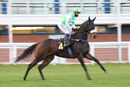 Race 6 - Zim Baby (2)