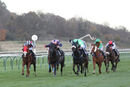 Race 6 - Zim Baby (4)