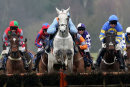 Race 6 (17) - Du Destin