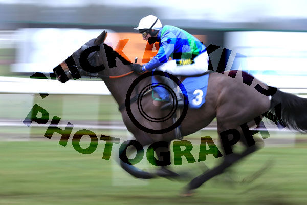 Race 6 (1) - Slanemore Hill