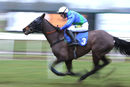 Race 6 (1) - Slanemore Hill