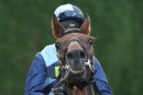 Race 6 (1) - Spanish Aria