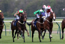 Cosmic Ray - Race 6 (46)