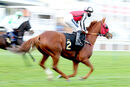 Race 6 (2) - John Kirkup