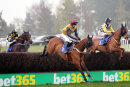 Race 6 (3) - Shockingtimes