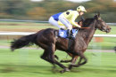 Race 6 (6) - Elasia