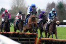 Race 6 (7) - Olivers Island