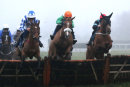 Nietzsche - Race 6 (9)