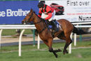 Race 7 - Aggy With It (3)