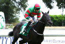 Race 7 - Aimez La Vie (8)