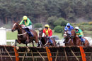 Race 7 - Arboretum (5)
