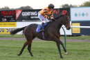 Race 7 - Arch My Boy (6)