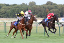 Race 7 - Artic Nel (2)