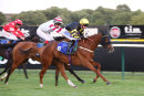 Race 7 - Artic Nel (4)