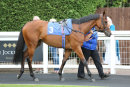 Race 7 - Asoof (2)