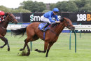 Race 7 - Asoof (8)