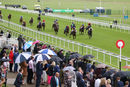 Race 7 - Auxilliary (2)