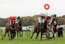 Race 7 - Ay Ay (7)