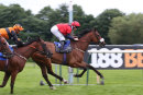 Race 7 - Bailarico (11)