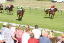 Race 7 - Bailarico (4)