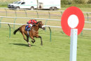 Race 7 - Bailarico (5)