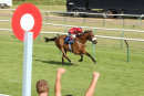 Race 7 - Bailarico (6)