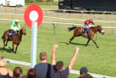 Race 7 - Bailarico (7)