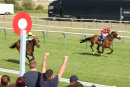 Race 7 - Bailarico (8)