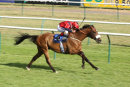 Race 7 - Bailarico (10)