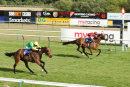 Race 7 - Bailarico (12)