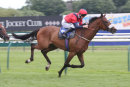 Race 7 - Bailarico (7)