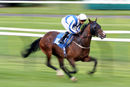 Race 7 - Battle Of Issus (2)