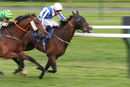 Race 7 - Battle Of Issus (4)
