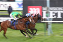 Race 7 - Battle Of Issus (6)