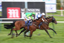 Race 7 - Battle Of Issus (7)
