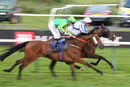 Race 7 - Battle Of Issus (9)
