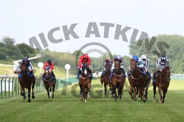 Race 7 - Belated Breath (3)