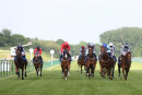 Race 7 - Belated Breath (3)