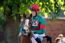 Race 7 - Benny And The Jets (2)